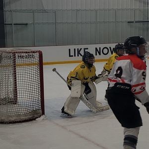 Meet your Posher, Max